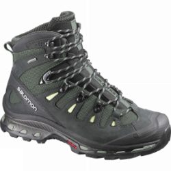 Womens Quest 4D 2 GTX Boot